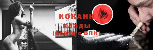 спиды Арсеньев