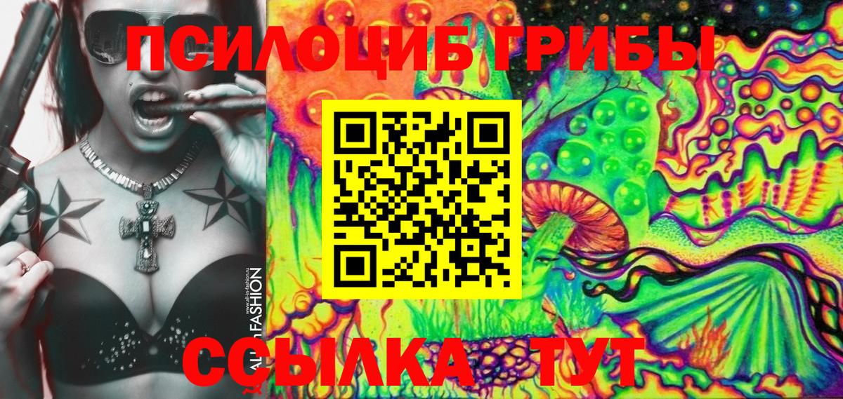 Галлюциногенные грибы Psilocybine cubensis Верхняя Салда